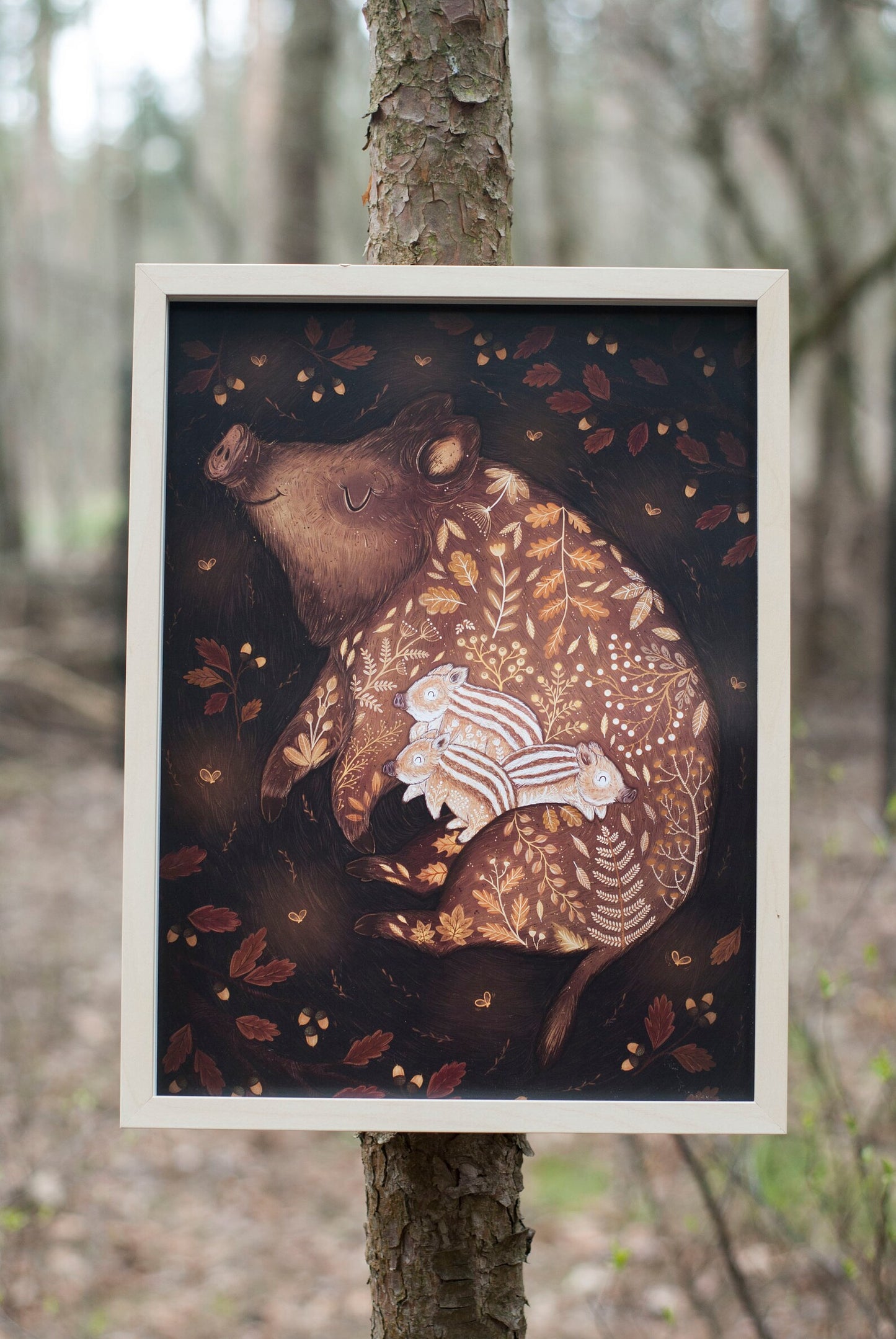 Sleeping Wild Boars Print