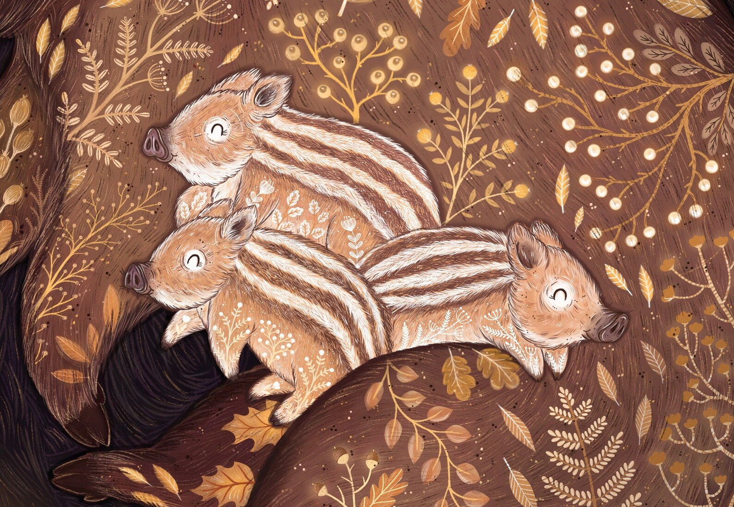 Sleeping Wild Boars Print