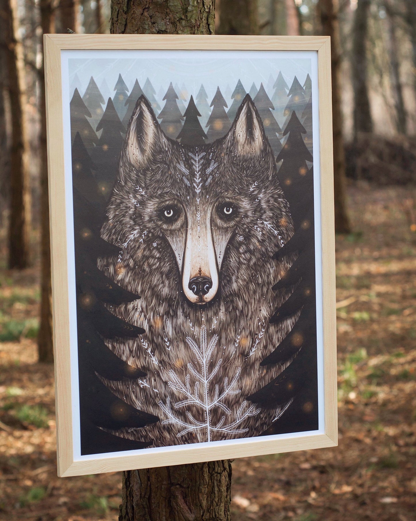 Plakat Wilk