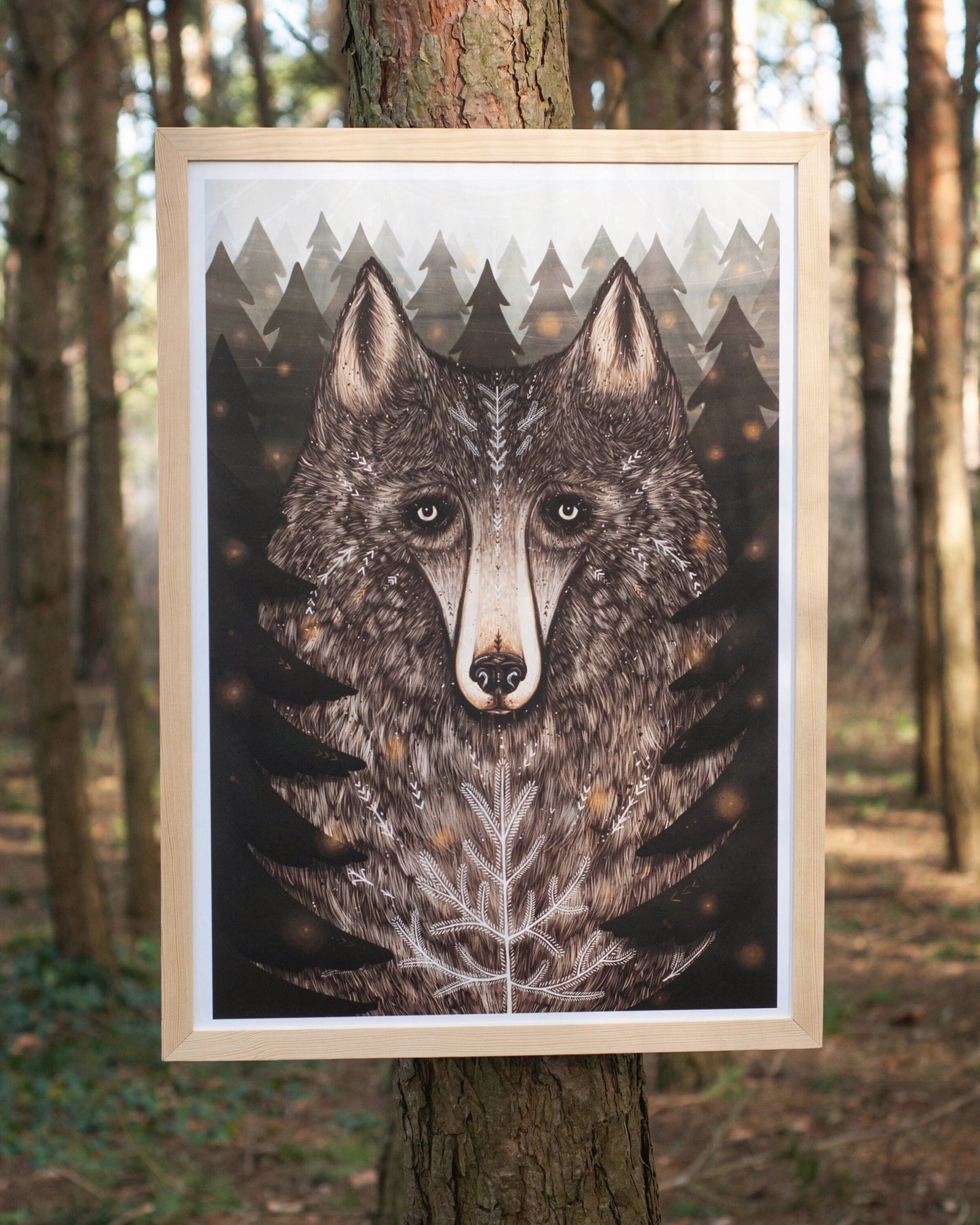 Plakat Wilk