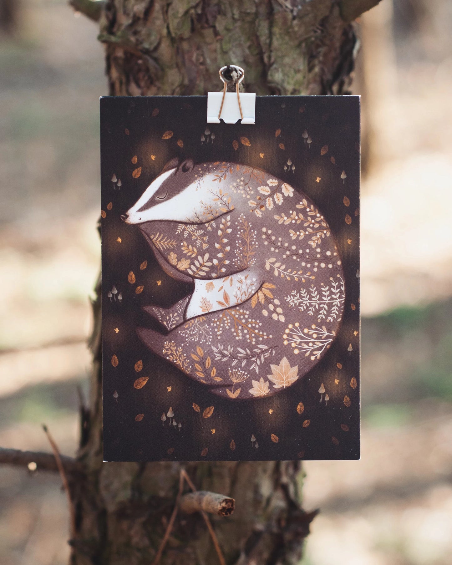 Sleeping Badger Card