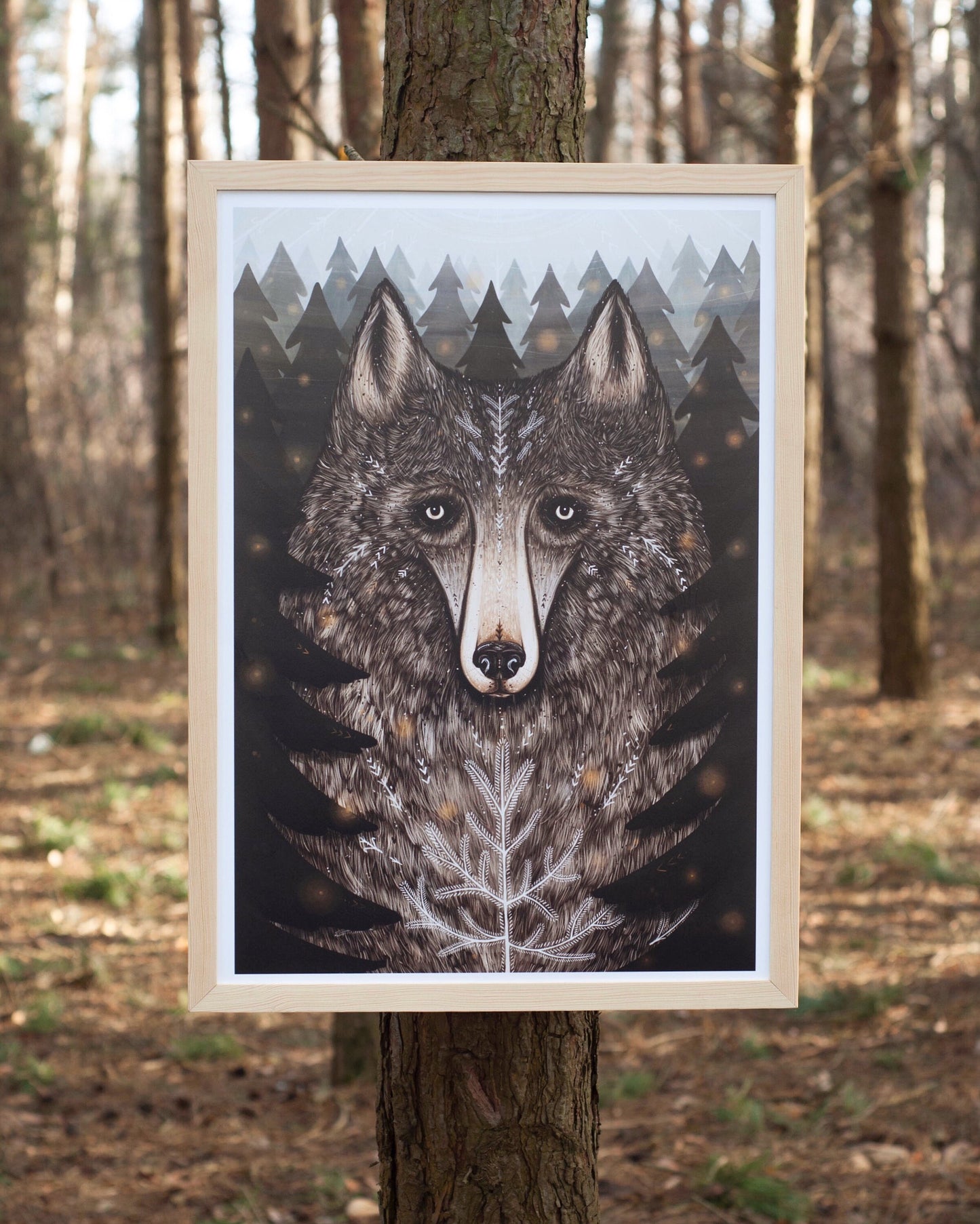 Plakat Wilk