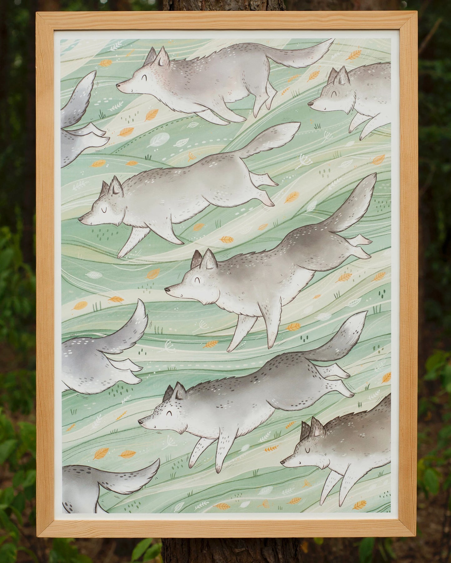 Plakat Wilczki