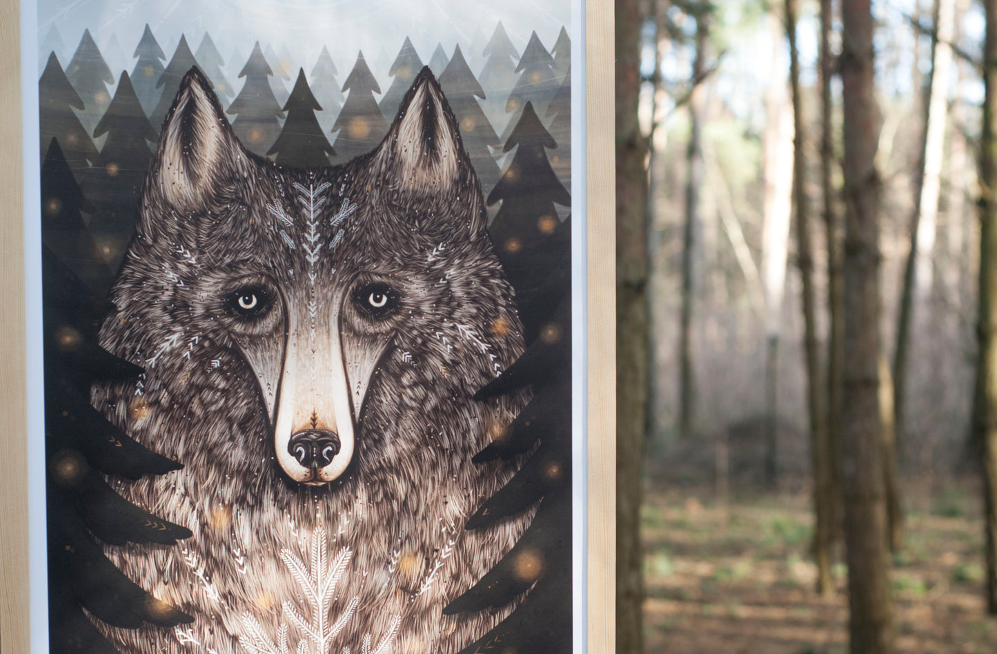 Plakat Wilk