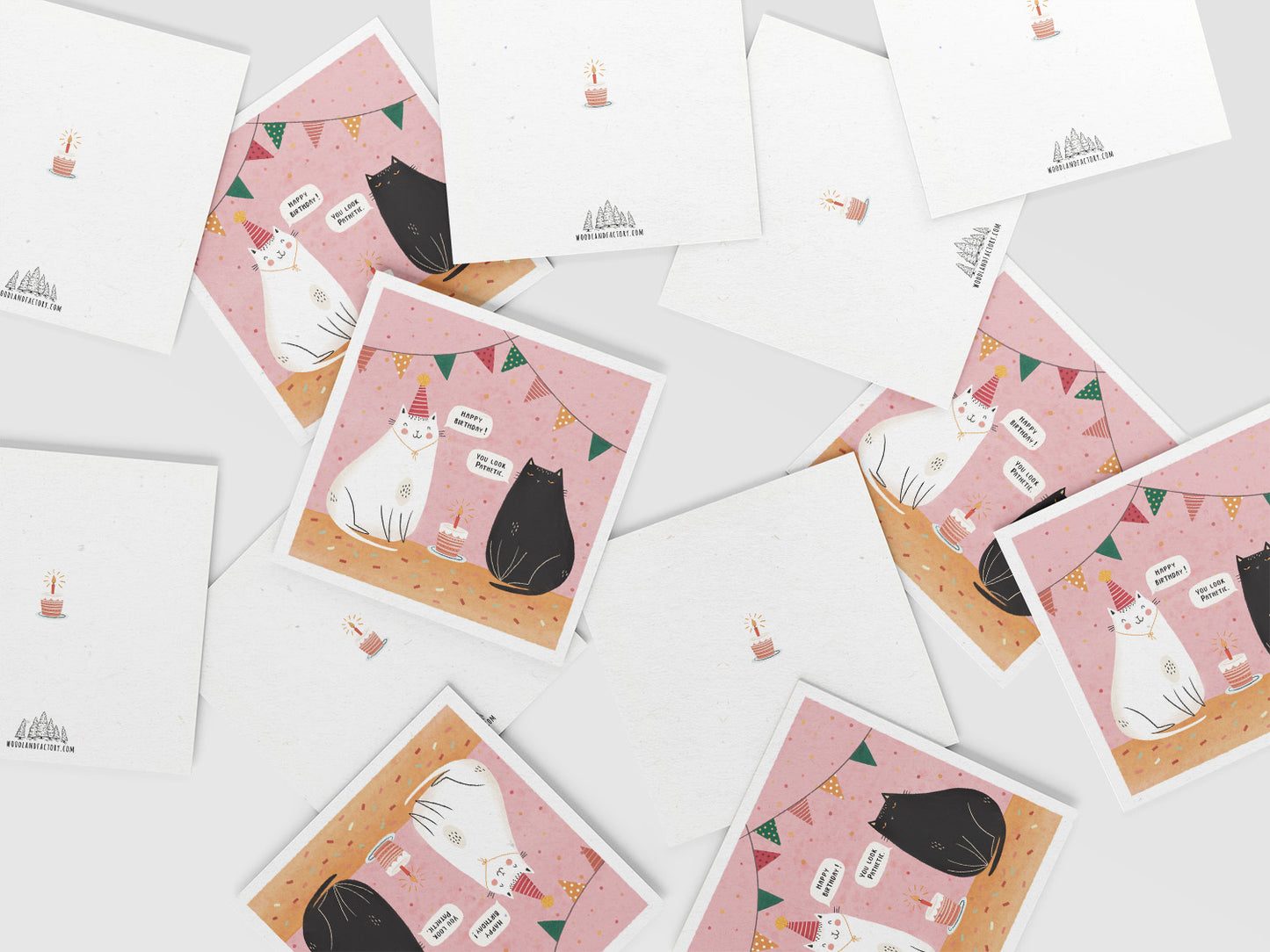 Birthday Cat Card