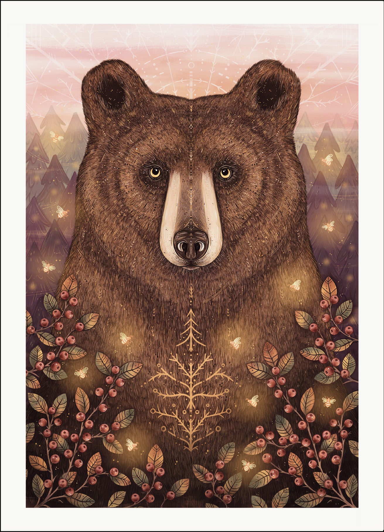 Bear Postcard
