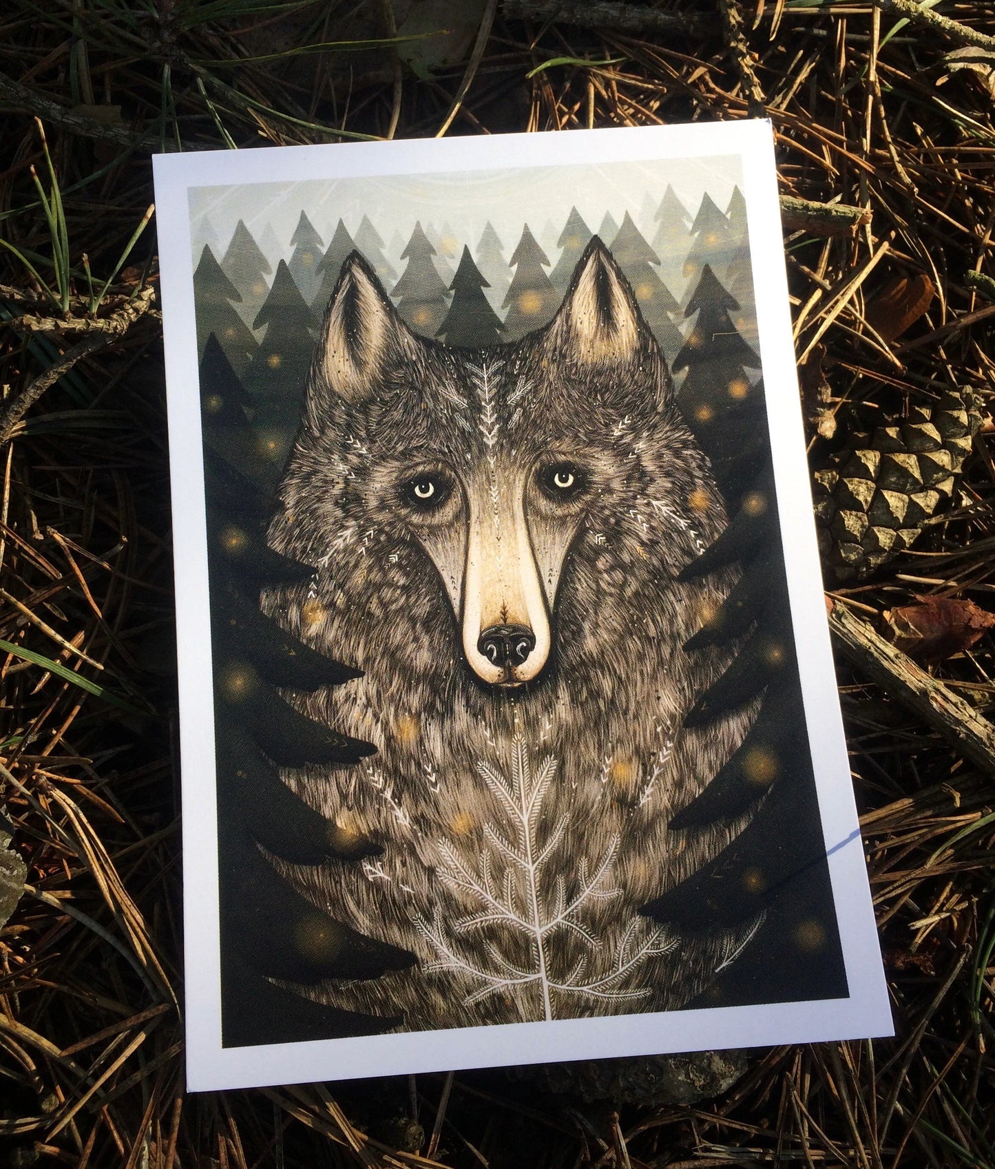 Wolf of the North Postcard