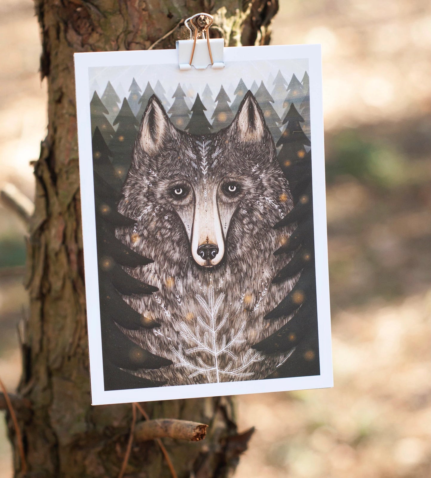 Wolf of the North Postcard