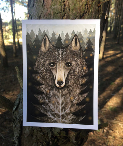 Wolf of the North Postcard