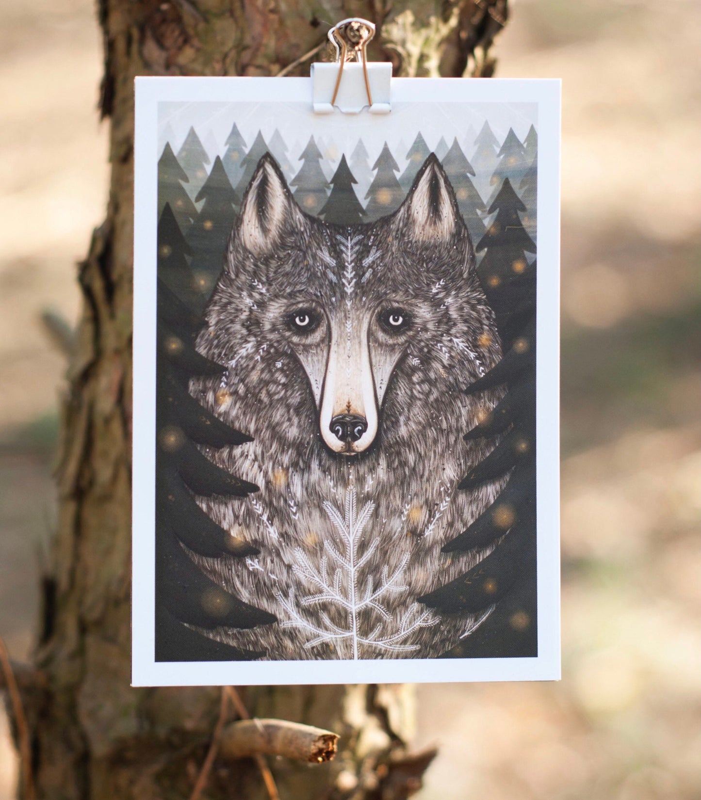 Wolf of the North Postcard