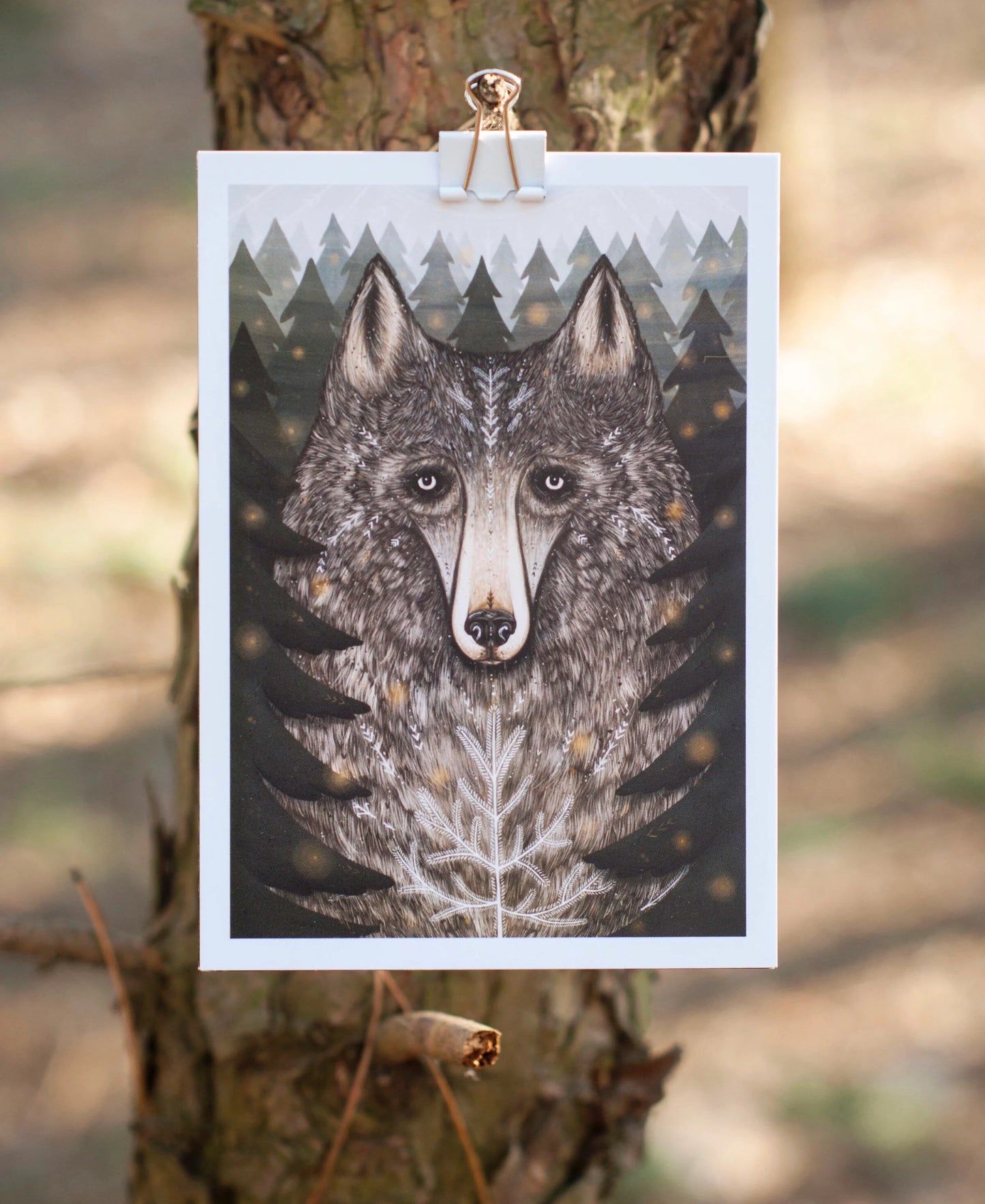 Wolf of the North Postcard