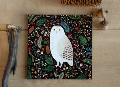 Snowy Owl Gift Card