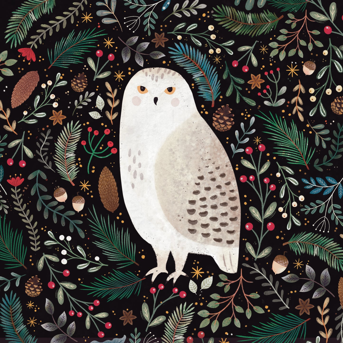Snowy Owl Gift Card
