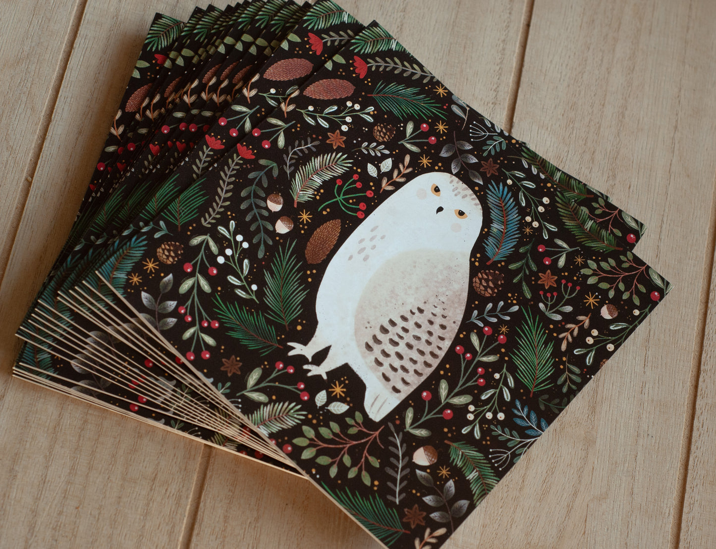 Snowy Owl Gift Card